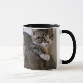 Caneca Laurie, Larry & Louie