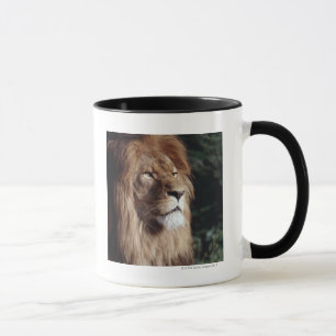 Caneca leão