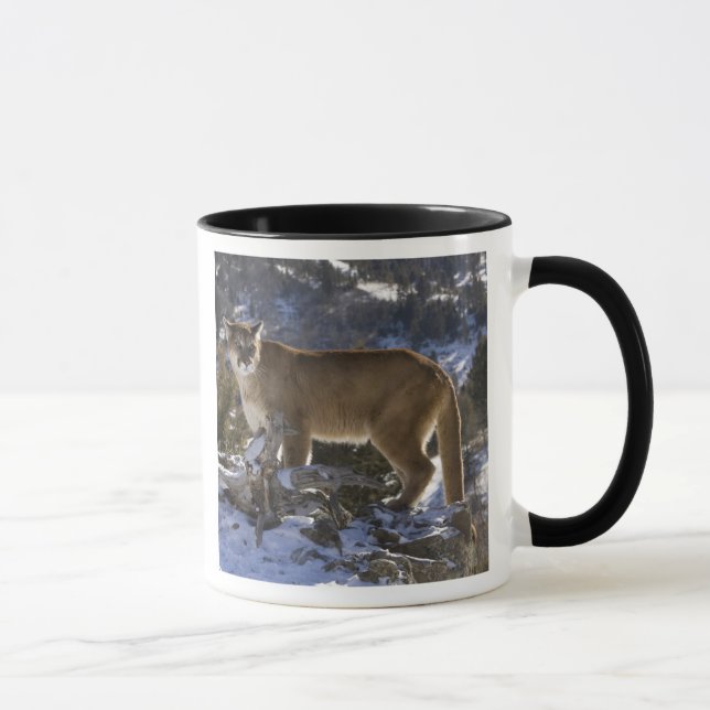 Caneca Leão-da-montanha (Direita)