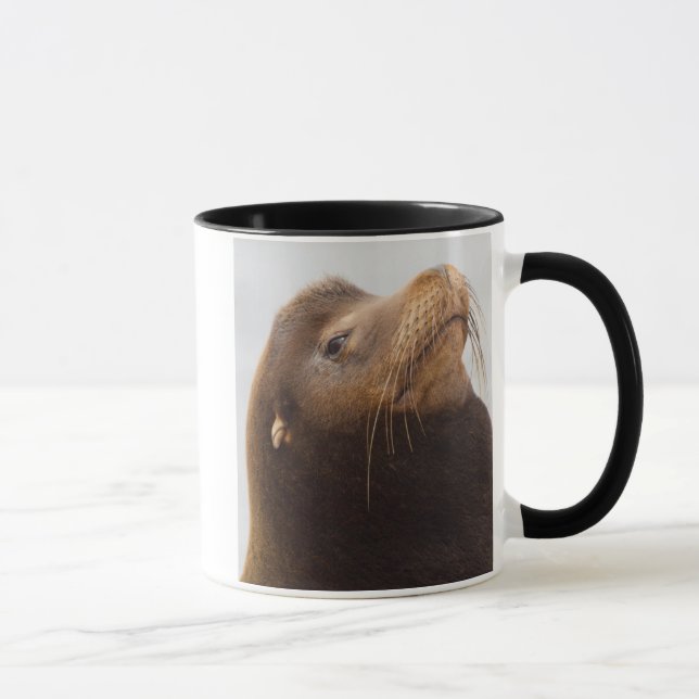 Caneca Leão-marinho-da-califórnia (Direita)