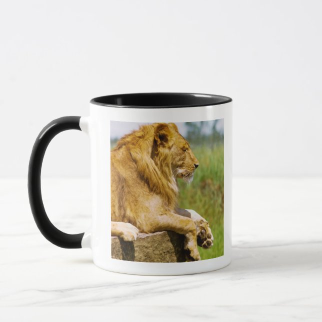Caneca Leão que encontra-se em uma rocha (Esquerda)