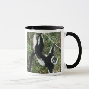 Caneca Lêmure-rufo-branco-e-preto, (Varecia