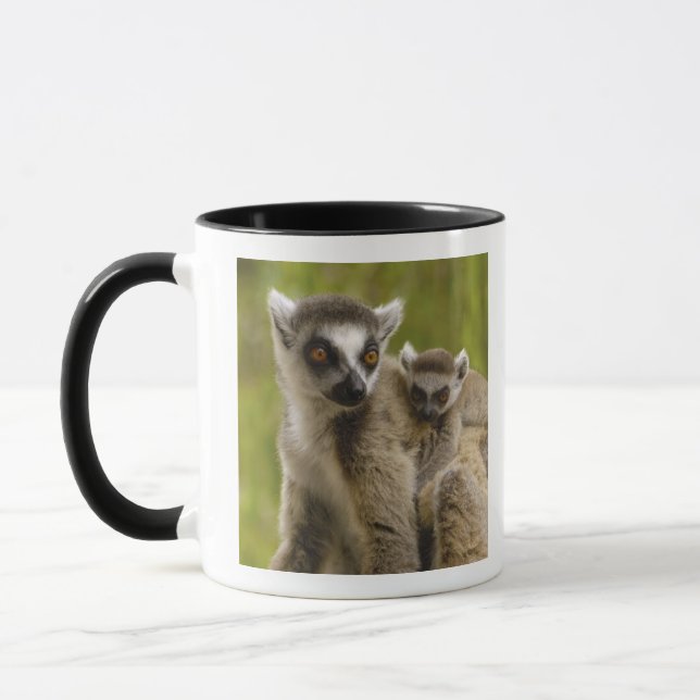 Caneca Lêmures-de-cauda-anelada (Lemur catta) Mãe e filho (Esquerda)