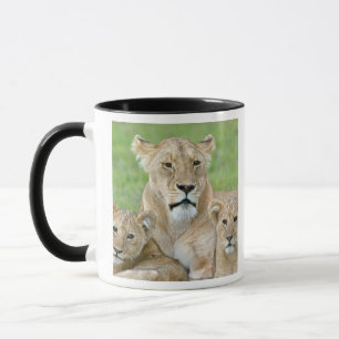 Caneca Leoa e Dois Filhotes, África Oriental, Tanzânia,
