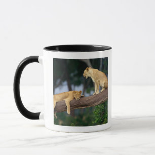 Caneca Leoas em uma árvore