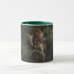 Caneca Leonas e um Filhote de Leão Atravessando os Arbust