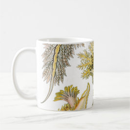 Caneca Lesmas Marinhas por Ernst Haeckel, Nudibrânquia Vi