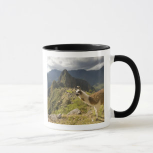 Caneca Lhamas e uma vista de Machu Picchu,