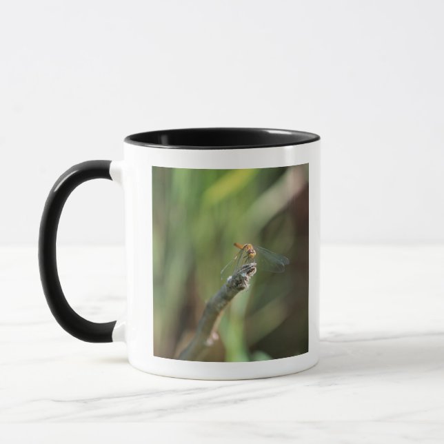 Caneca Libélula 5 (Esquerda)