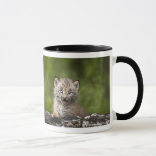 Caneca Lince do bebê que olha sobre a árvore caída A