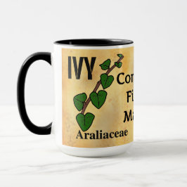 Caneca Linguagem floral da hera floriografia papel envelh