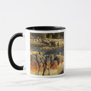 Caneca Líquen Laranja em Rochas, Binalong Bay, Baía de