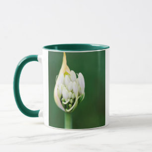 Caneca Lírio Africano, Agapanthus Praecox, Cidade do Cabo
