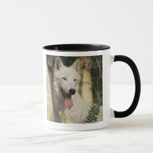 Caneca Lobo ártico na floresta