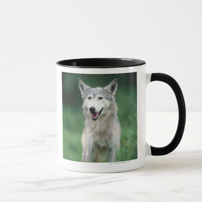 Caneca Lobo cinzento 2 (Direita)