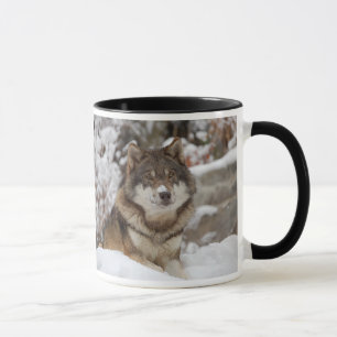 Caneca Lobo de inverno