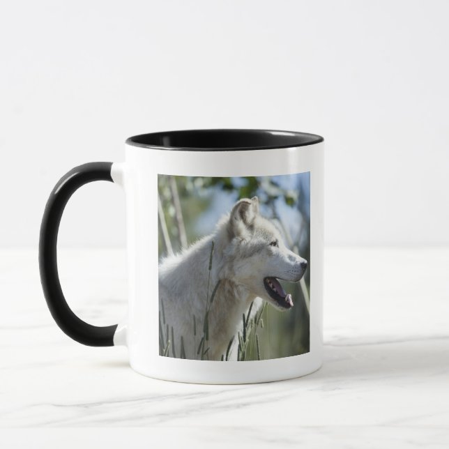 Caneca Lobo em Yellowstone 2 (Esquerda)