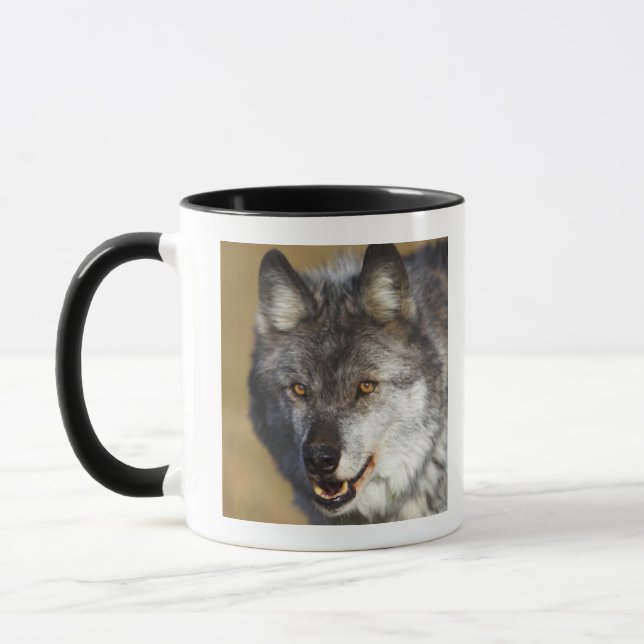 Caneca Lobo (lúpus de Canis) (Esquerda)