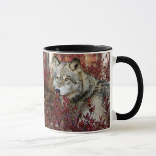 Caneca Lobo na folhagem