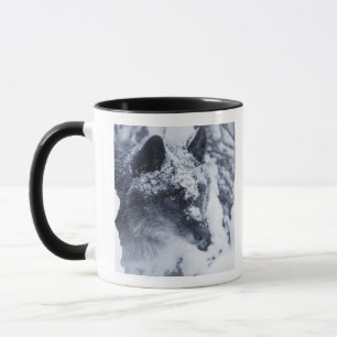 Caneca Lobo solitário na neve