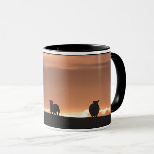 Caneca Lofoten Islands Sheep Nature Photo
