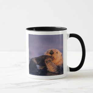 Caneca Lontra Marinha, Enhydra lutris