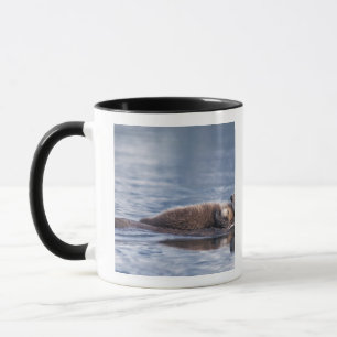 Caneca lontra marinha, Enhydra lutris lutris