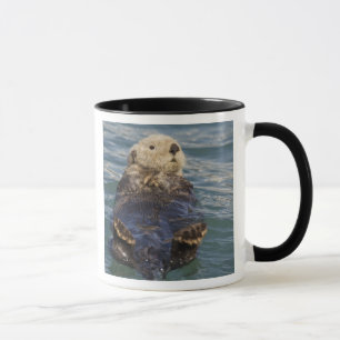 Caneca Lontras marinhas brincam em icebergs na Surprise I