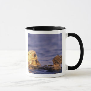 Caneca Lontras Marinhas, Enhydra lutris 4