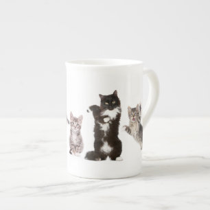 Caneca louca do gato