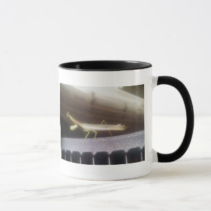 Caneca Louva-a-deus Praying