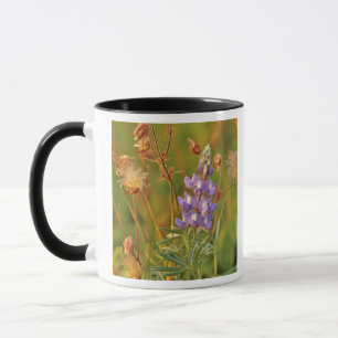 Caneca Lupine & Prairie Smoke flores silvestres em Montan