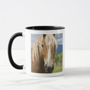 Caneca Luz - cavalo marrom