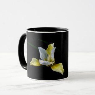 Caneca Luz da íris