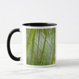 Caneca Luz da manhã filtrando através do bambu