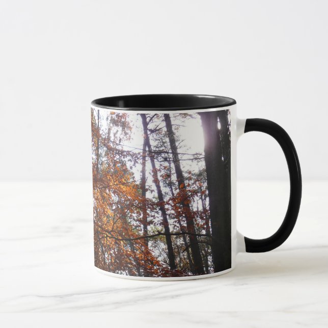 Caneca Luz Solar Através de Árvore de Outono em Greenbelt (Direita)