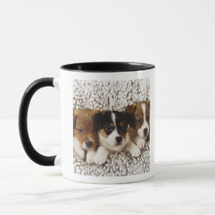 Caneca Maca dos filhotes de cachorro