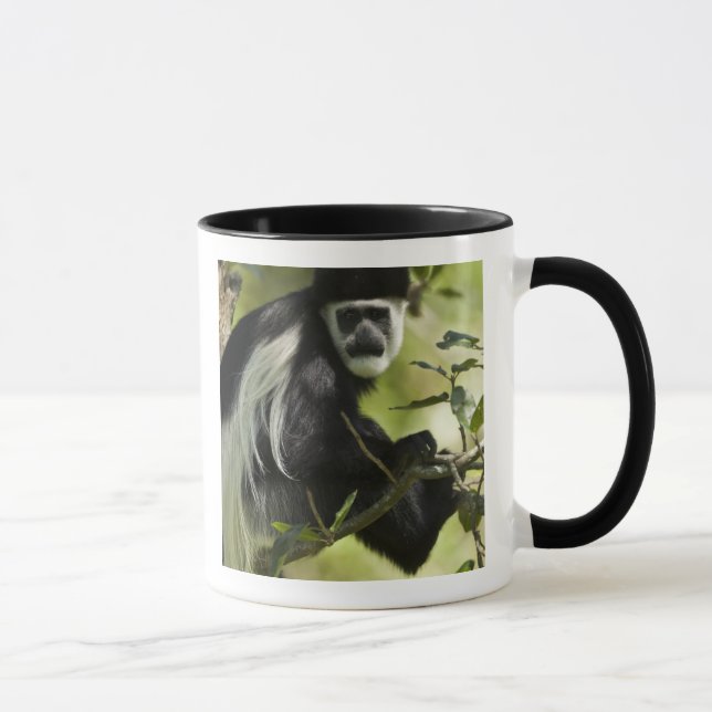 Caneca Macaco Colobo Preto e Branco (Direita)
