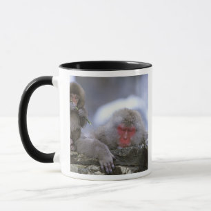 Caneca Macaco da Neve Mãe e Filho, Jigokudani, Nagano,