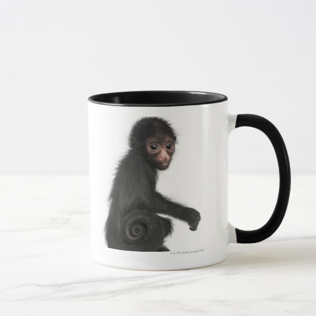 Caneca macaco de aranha Vermelho-enfrentado - paniscus do (Direita)