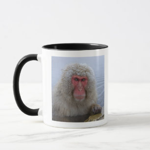 Caneca Macaco japonês da neve no hotspring