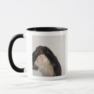 Caneca Macaco que cobre seus olhos