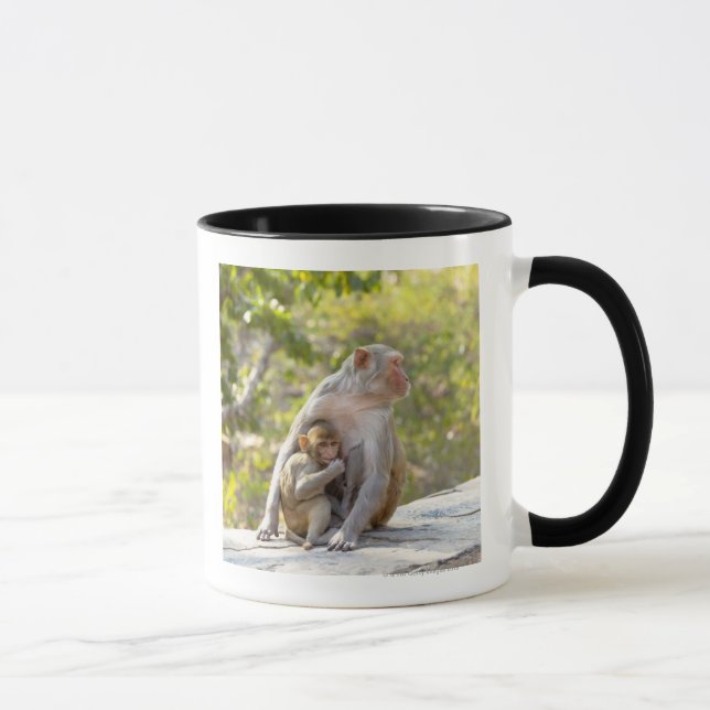 Caneca Macacos de Macaque do Rhesus da mãe e do bebê na (Direita)