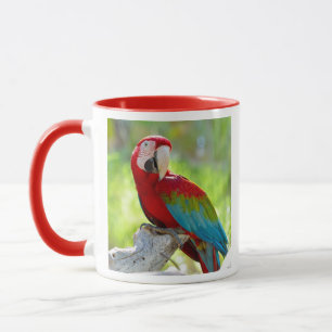 Caneca Macaw que senta-se no ramo