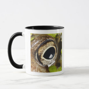 Caneca Macro; Horizontal; Cor; Cor; Ninguém