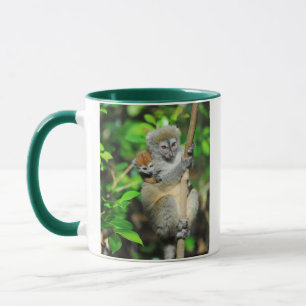 Caneca Madagascar, Andasibe, Ilha dos Lêmures, Mãe
