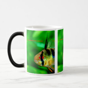 CANECA MÁGICA