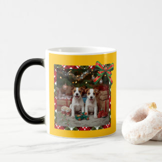 CANECA MÁGICA かわいいジャックラッセルテリアの子犬たちとクリスマス♡