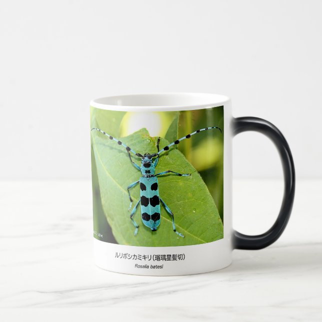 Caneca Mágica ルリボシカミキリムシ、Blue Longhorn Beetle with Black Spots (Direita)