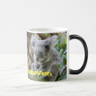 Caneca Mágica 8 horas de sono - em 4 dias!